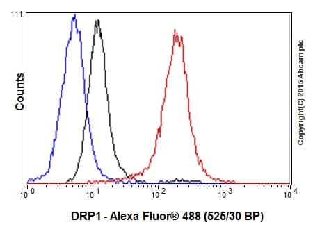 Anti-DRP1 antibody [EPR19274](AB184247)