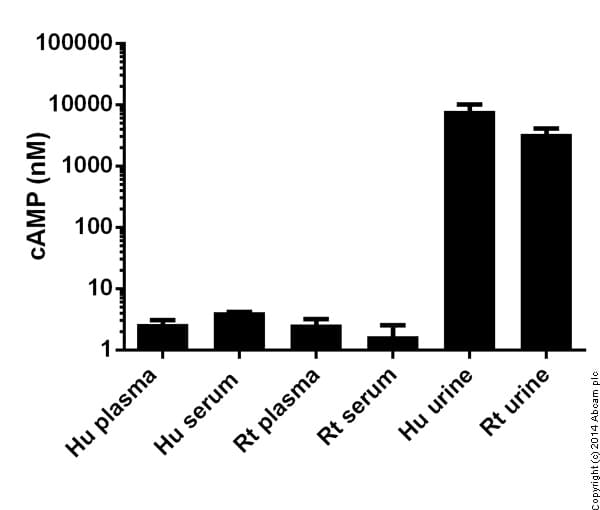 cAMP Assay Kit (Competitive ELISA, Fluorometric)(AB138880)