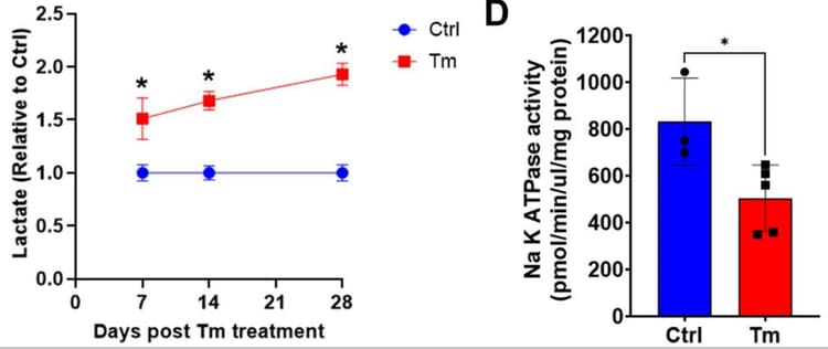 ATPase Assay Kit (Colorimetric)(AB234055)