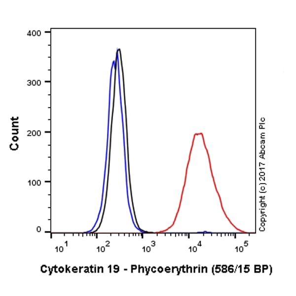 PE Anti-Cytokeratin 19 antibody [EP1580Y](AB224981)