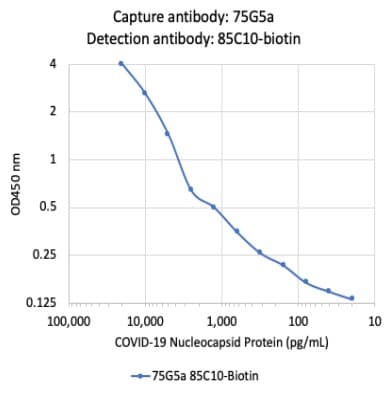Anti-SARS-CoV-2 nucleocapsid protein antibody [75G5a](AB284653)