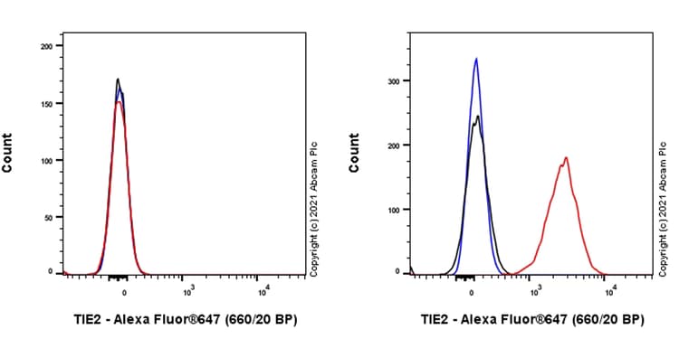 Anti-TIE2 antibody [33](AB280905)