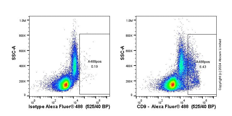 Anti-CD9 antibody [EPR23105-121](AB236630)