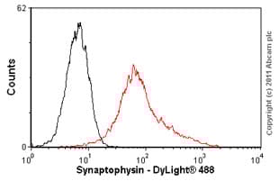 Anti-Synaptophysin antibody [SY38](AB8049)