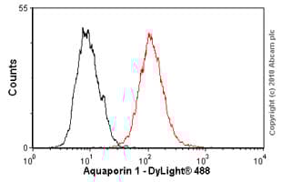 Anti-Aquaporin 1 antibody [1/22](ab9566)