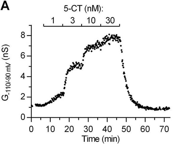 CGP 55845 hydrochloride, GABAB antagonist(AB120337)