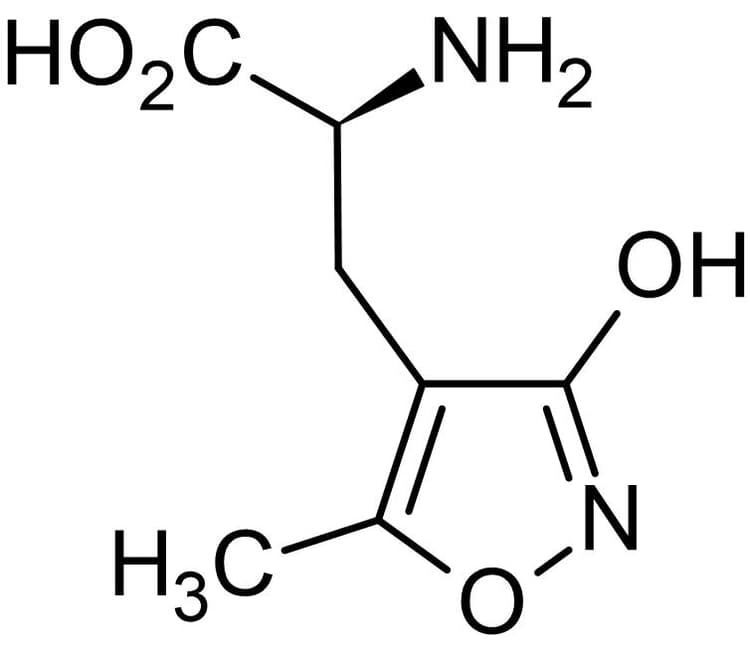 S Ampa Mm Ml Ampa Agonist Ab144483  Chemical Structure Img168554