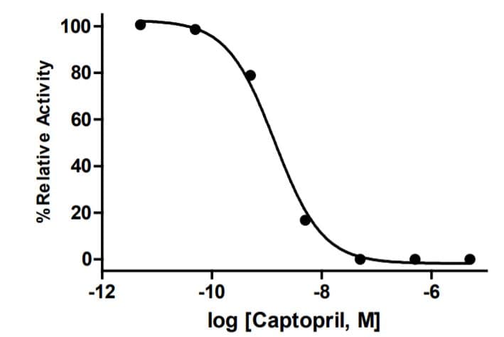 Angiotensin I Converting Enzyme (ACE1) Inhibitor Screening Kit(AB283372)