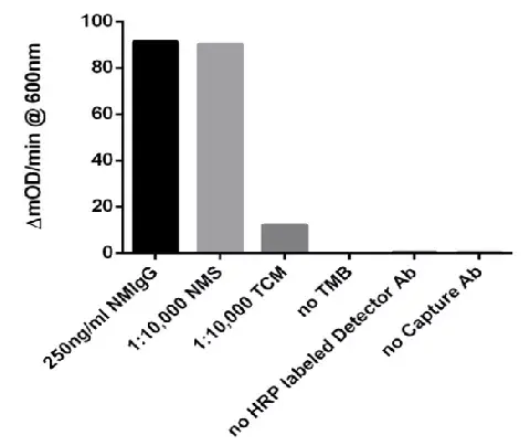 Mouse IgG ELISA Kit(AB151276)