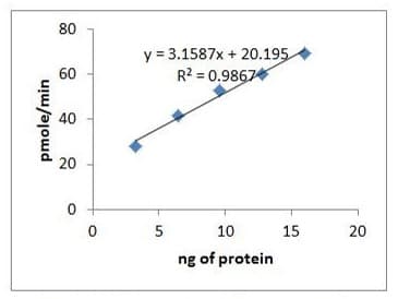 Recombinant human Ornithine Decarboxylase/ODC protein (Active)(ab286069)