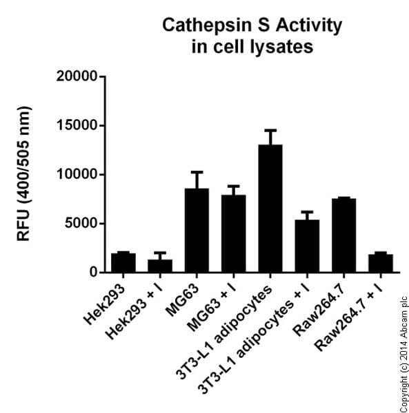 Cathepsin S Activity Assay Kit (Fluorometric)(ab65307)