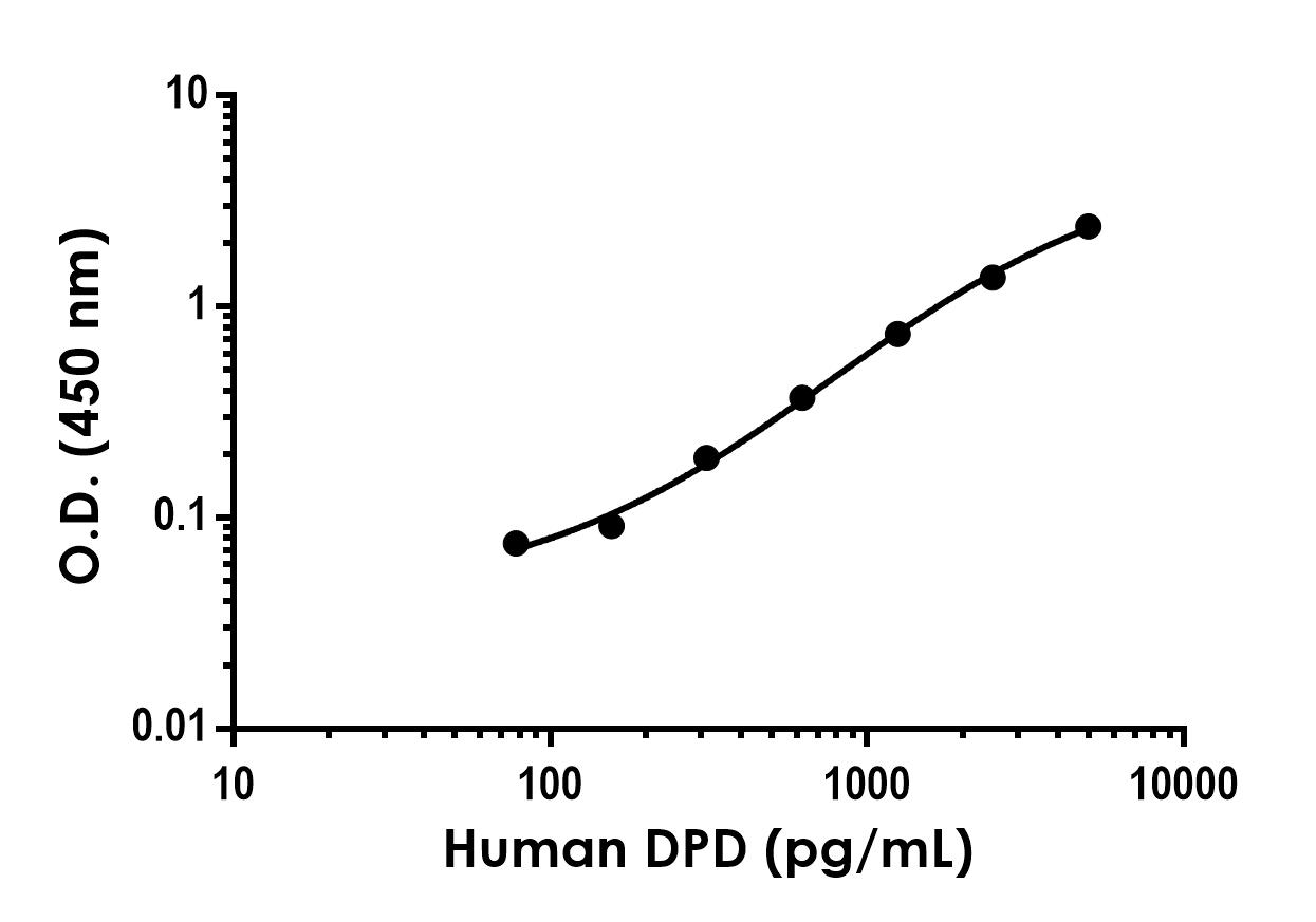 Anti-DPD Antibody [EPR26638-154] ab312868 | Danaher Life Sciences