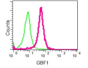Gbf1 Antibody Epr14889 C Terminal Ab189512  Flow Cytometry Intracellular Img57549