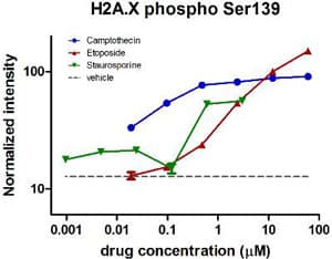 Human H2A.X (phospho S139) In-Cell ELISA Kit (IR)(AB131382)