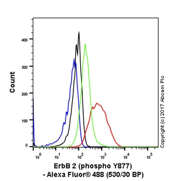 Anti-ErbB2 / HER2 (phospho Y877) antibody [EP2324Y](AB108371)