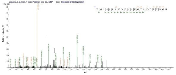 Ab239546  Mass Spectrometry Img102976
