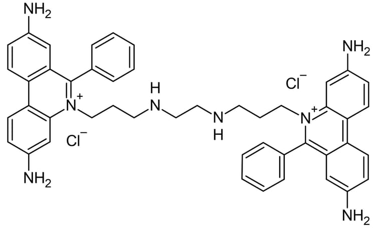 Ethidium Homodimer Fluorimetric Detection Reagent Ab145323  Chemical Structure Img169086