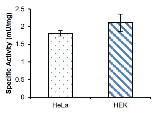 Phosphoglycerate Dehydrogenase (PHGDH) Activity Assay Kit (Colorimetric)(AB273328)
