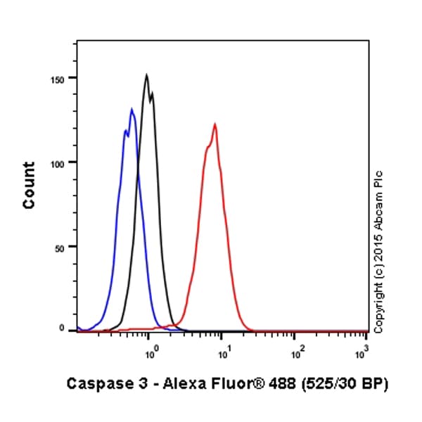 Anti-Caspase-3 antibody [E87](AB32351)