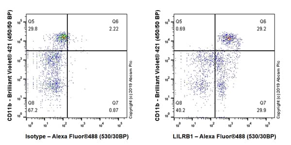 Anti-LILRB1 antibody [EPR22861-6](AB238145)