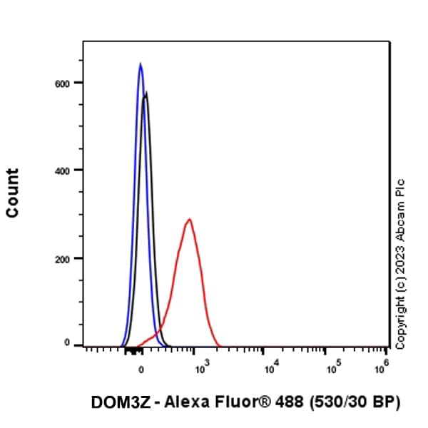 Anti-DOM3Z antibody [EPR27511-140] - BSA and Azide free(AB314125)