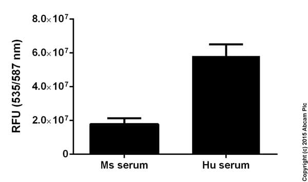 Creatinine Assay Kit(AB65340)
