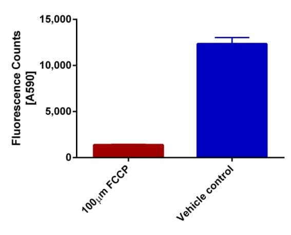 JC-1 - Mitochondrial Membrane Potential Assay Kit(AB288313)