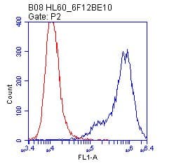 Anti-Calnexin antibody [6F12BE10](AB112995)