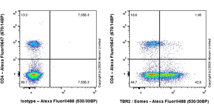 Anti-TBR2 / Eomes antibody [RM2055](AB319166)