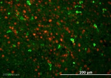 Biotin Anti-GFP antibody(AB6658)