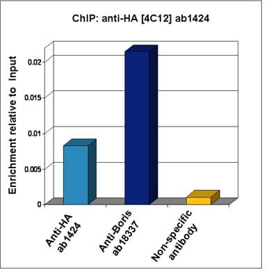 Anti-HA tag antibody [12CA5](AB1424)