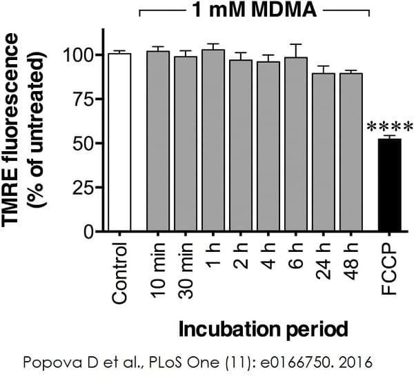 TMRE-Mitochondrial Membrane Potential Assay Kit(AB113852)