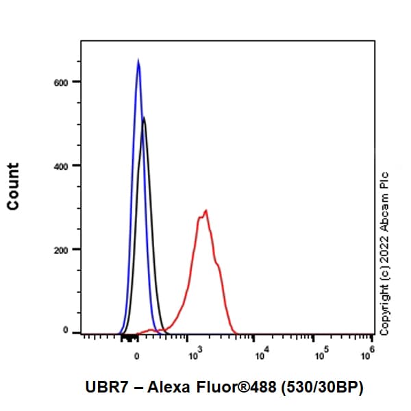 Anti-UBR7 antibody [EPR26170-67]