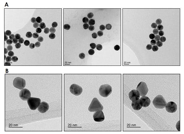 20nm Gold Nanoparticles (15 OD)(AB269937)