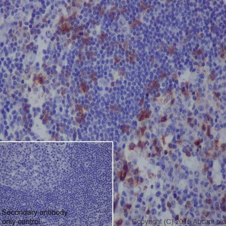 Anti-PD1 antibody [EPR4877(2)] - BSA and Azide free(AB186928)