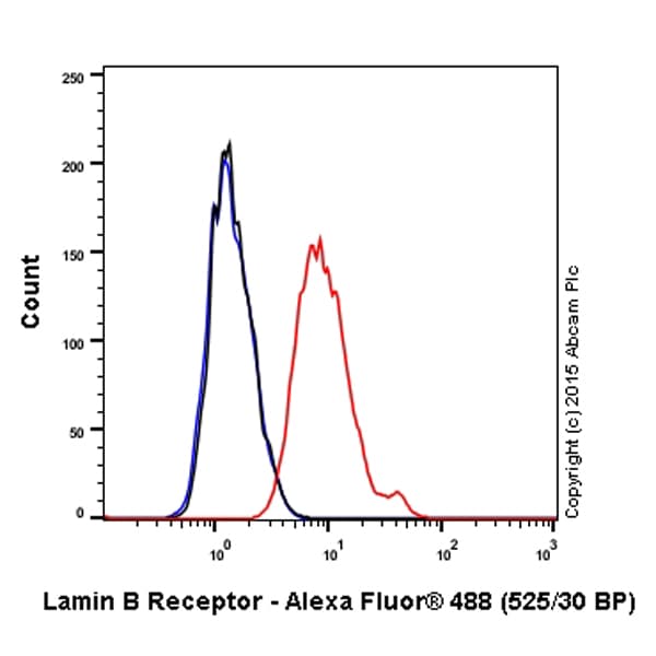Alexa Fluor® 488 Anti-Lamin B Receptor/LBR antibody [E398L](AB201532)