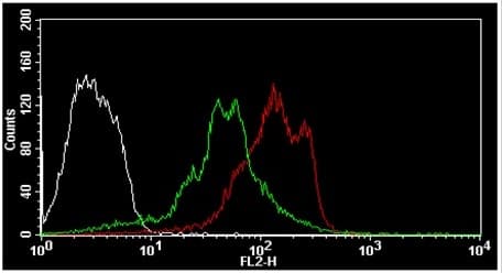 Protein Synthesis Assay Kit (Red)(AB235634)