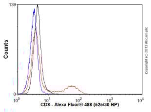 Anti-CD8 alpha antibody [C8/144B](AB17147)