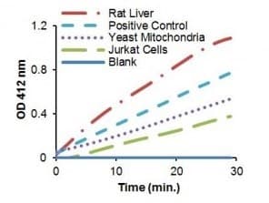 Citrate Synthase Assay Kit(AB239712)