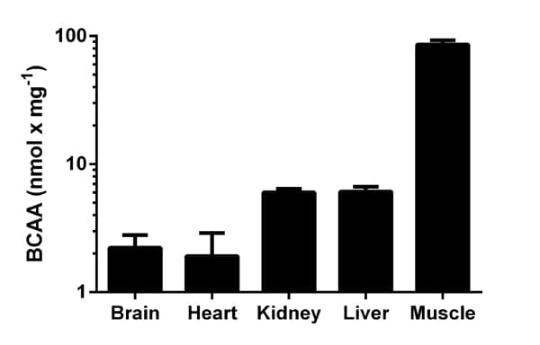 Branched Chain Amino Acid Assay Kit / BCAA Assay Kit(ab83374)