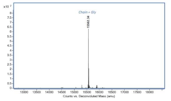 Recombinant rat Interferon gamma protein (Active)(AB280340)