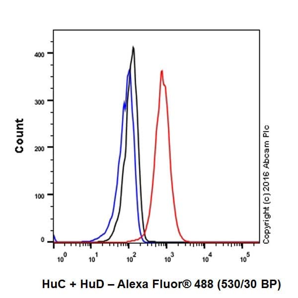 Anti-HuD + HuC antibody [EPR19098](AB184267)