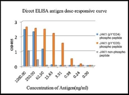 Jak1 Phospho Y1034 Y1035 Antibody Epr18992 Ab138005  Elisa Img410041