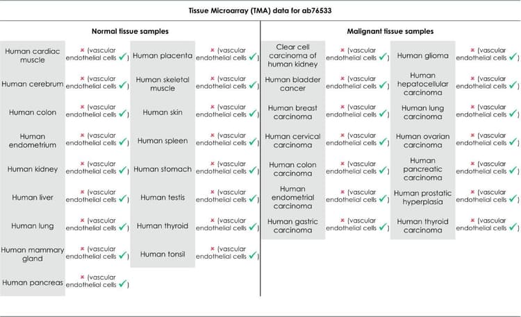 Anti-CD31 antibody [EPR3094](AB76533)