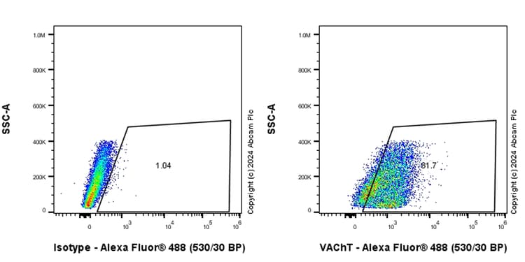 Anti-VAChT antibody [EPR29154-71](AB317452)