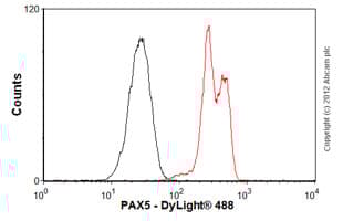 Anti-PAX5 antibody [EPR3730(2)](AB109443)