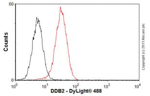 Anti-DDB2 antibody [2246C4a](AB51017)