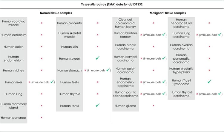 Anti-PD1 antibody [EPR4877(2)] - BSA and Azide free(AB186928)