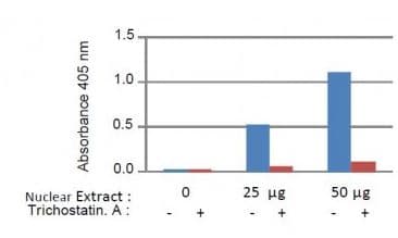 HDAC Activity Assay Kit (colorimetric)(AB1432)
