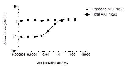 AKT 1/2/3 pS473 + AKT 1/2/3 Total ELISA Kit(AB253299)